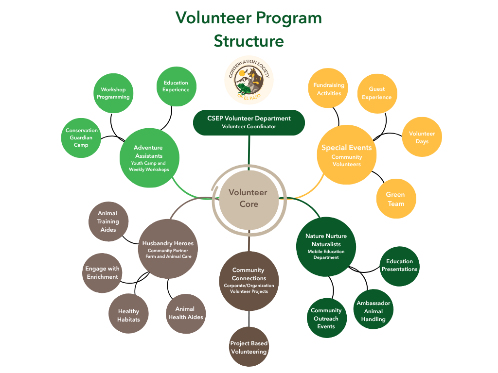 Volunteer-Program-Structure-2025